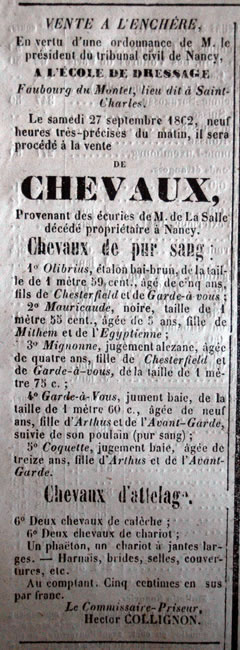 Suite au décès de M. de Lassalle, vente de chevaux