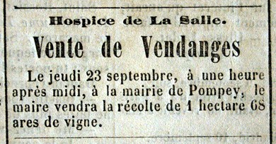 vente de vendanges à pompey