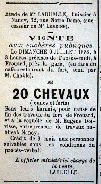 vente de 20 chevaux à Frouard