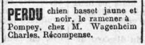 annonce recherche chien à Pompey